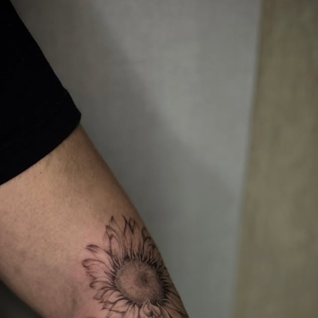 Botanico: un girasole