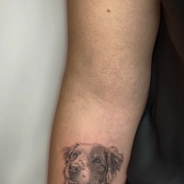 Ritratto di un cane sul braccio